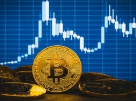 Interested in Riding the Bitcoin Rally? These 2 Bitcoin mining stocks are popular with analysts. thecryptonewshub