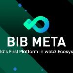 BIB Meta: From the Beginning to the Future