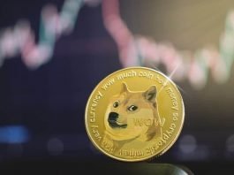 Crypto-analyst-identifies-crucial-price-levels-to-watch-for-Dogecoin thecryptonewshub.com