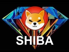 shiba - thecryptonewshub.com