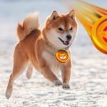 shiba inu shib remains one of the most popular crypto with more than 1 1 million holders Biggest Movers: SHIB Remains Close to Recent Highs as Crypto Markets Lower on Monday.