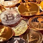 the-future-of-crypto-top-trends-for-2024 update.thecryptonewshub.com