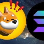 202311211706 main Solana's Meme-Coin Mania Fizzles: 80% Plunge Leaves Investors Salty
