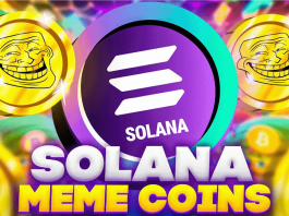 Solana Meme Coins - thecryptonewshub.com