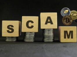 Crypto scam thecryptonewshub.com