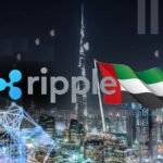 Ripple's Role in Crypto Adoption