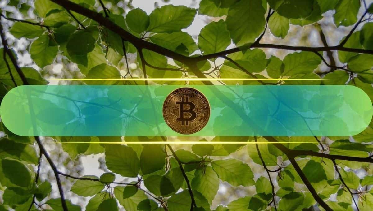 Coinbase Token Listings