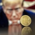 Trump crypto regulation team