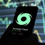 Tornado Cash Developer