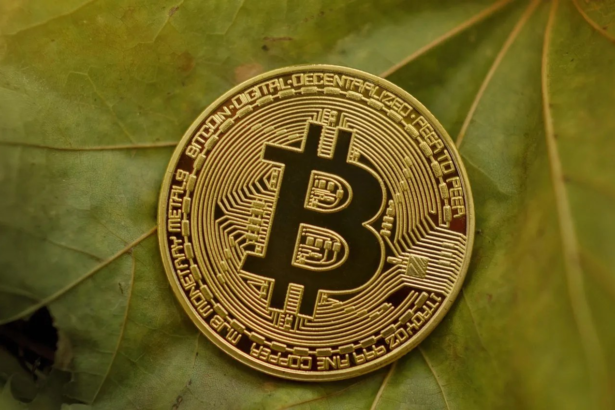 wp header logo 618 После $100 млн убытков: BTC-трейдер открывает новые позиции