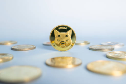 wp header logo 2122 Shiba Inu Momentum Builds As On-Chain Metric Signals Hint At 125% Price Explosion