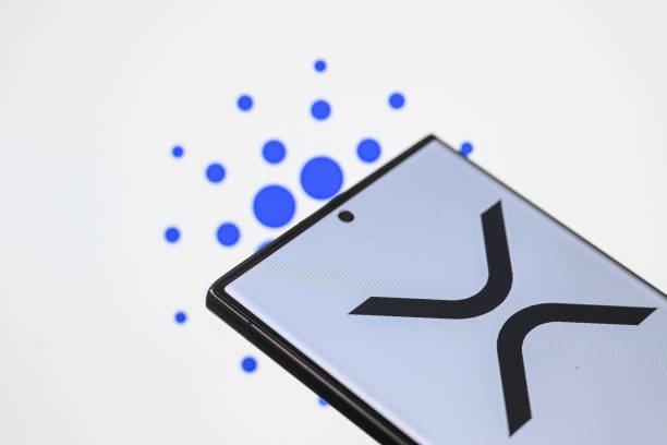 wp header logo 2442 Is XRP Coming To Cardano? Founder Sparks Speculation After Midnight Airdrop