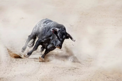wp header logo 355 XRP Gains Momentum As Analyst Calls It The ‘Smartest Crypto’ To Buy