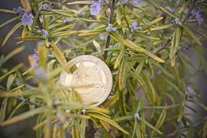 wp header logo 1781 Analyst Sets $5 Target For The Dogecoin Price If This Happens