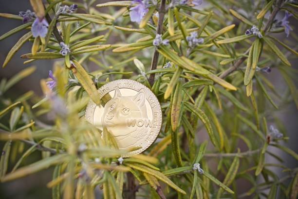 wp header logo 1781 Analyst Sets $5 Target For The Dogecoin Price If This Happens