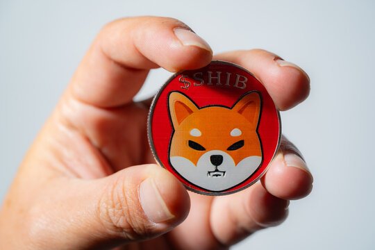wp header logo 1877 Shiba Inu Completes Bullish Setup: Why A 138% Climb Could Be In The Works