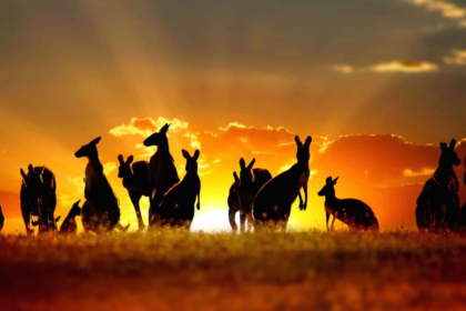 wp header logo 2445 Australia Cracks The Whip: Crypto Exchanges Face Tough New Rules