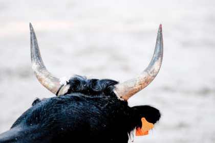 wp header logo 2625 Fed Chair Choice May Be Bitcoin’s Biggest Bull Trigger, CEO Says