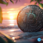 wp header logo 33 Bitcoin price drops below $108K but on-chain metrics signal strength