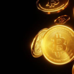 wp header logo 649 Bitcoin Treasury Purchases Down Amid Record Holdings – What Does This Mean?