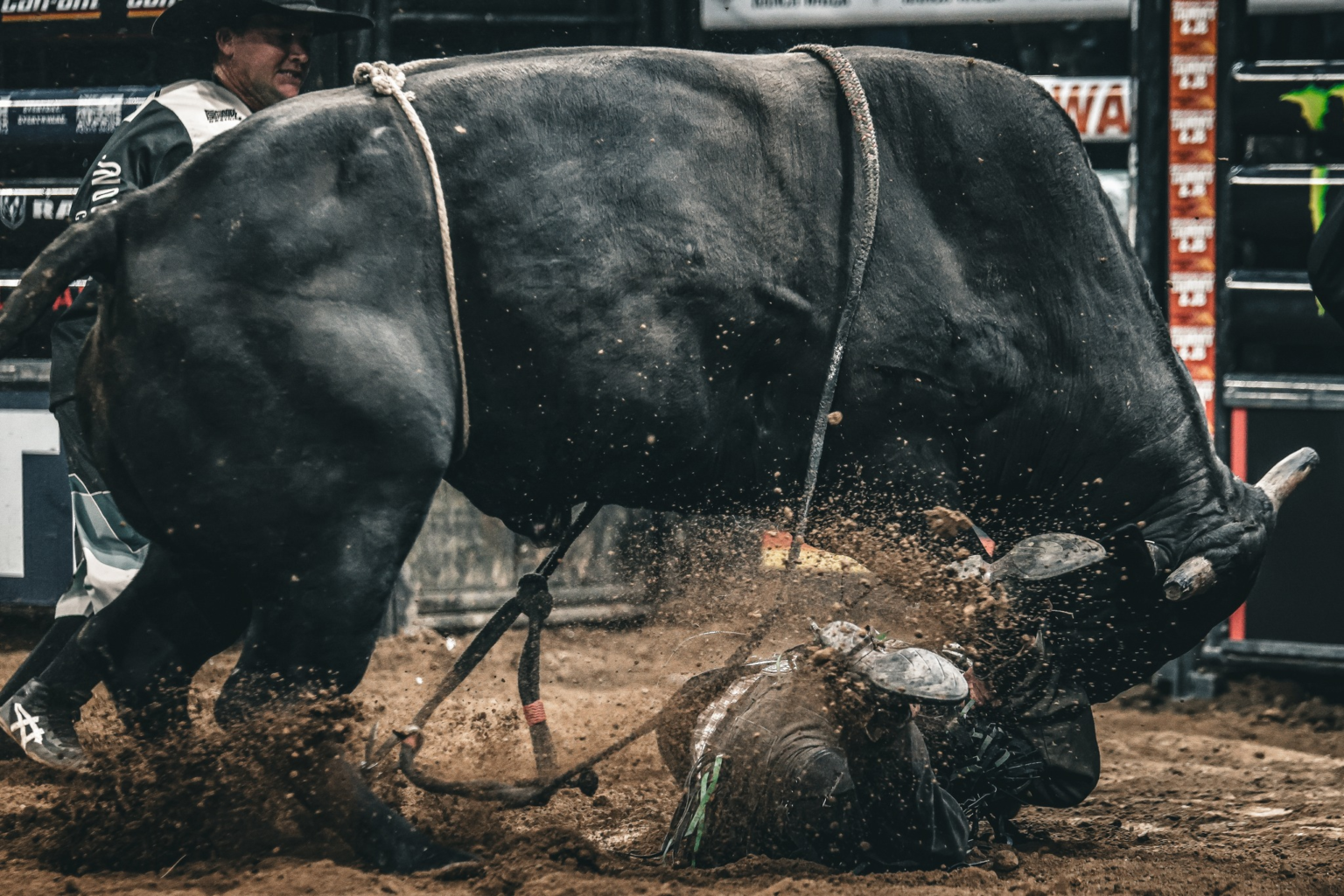 wp header logo 1389 Ethereum Beware — Analyst Says XRP’s Next Bull Run Could Be Deadly