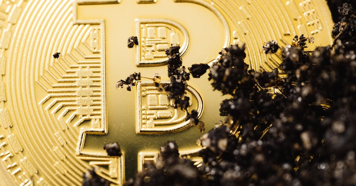 wp header logo 2070 16,000 Ancient Bitcoins Just Moved—And It’s Costing Whales Billions