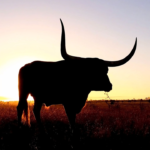 wp header logo 2220 XRP Sparks Bullish Frenzy As Top Software Dev Says It Beats ETF Hype