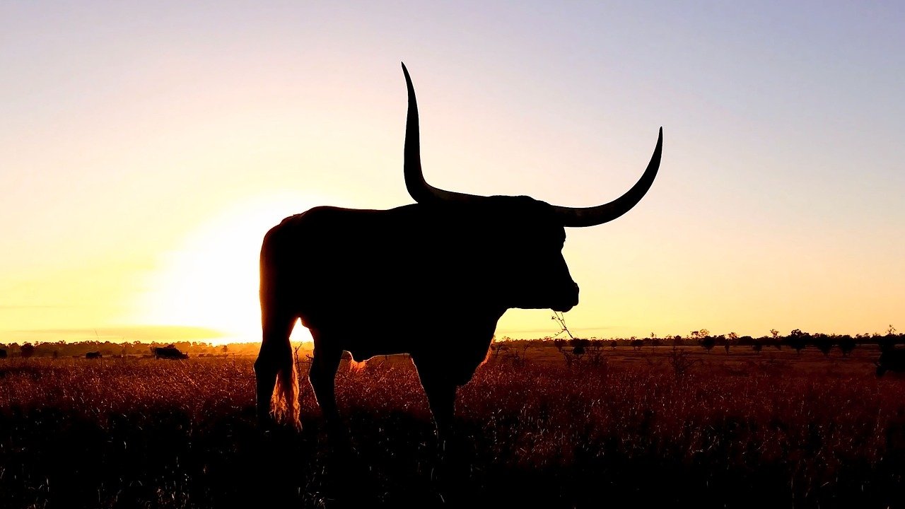 wp header logo 2220 XRP Sparks Bullish Frenzy As Top Software Dev Says It Beats ETF Hype