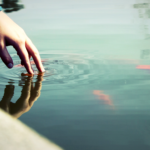 wp header logo 2268 Is Ripple Tapping Into A $12 Trillion Industry? Pundit Breaks Down US Repo Market