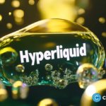 wp header logo 2612 Hyperliquid price eyes $50 as 21Shares adds to HYPE ETF buzz