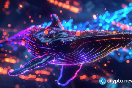 wp header logo 423 Digitap attracts whale wallets ahead of global app launch