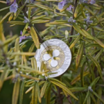 wp header logo 49 XRP Gears Up For Breakout, But Bearish Divergence Clouds Outlook