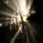 wp header logo 941 $48 Million Salvation: ‘Bitcoin Jesus’ Roger Ver Settles Tax Fraud Case