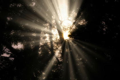 wp header logo 941 $48 Million Salvation: ‘Bitcoin Jesus’ Roger Ver Settles Tax Fraud Case