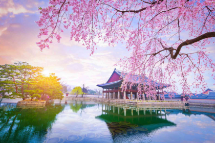 wp header logo 953 South Korea To Confiscate Crypto Cold Wallets If Taxes Aren’t Paid