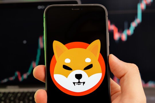 wp header logo 100 Shiba Inu Facing A Bear Market? Pundit Shows What To Expect