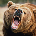 wp header logo 411 Strategy’s Bitcoin Position Is Bear-Proof, Analyst Says