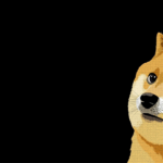 wp header logo 694 Bitwise To Debut Dogecoin ETF Following SEC Filing Update – Here’s When