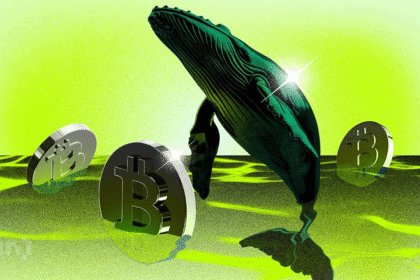 66 5 Bitcoin Market Trends: Whales Accumulate Amid Price Decline