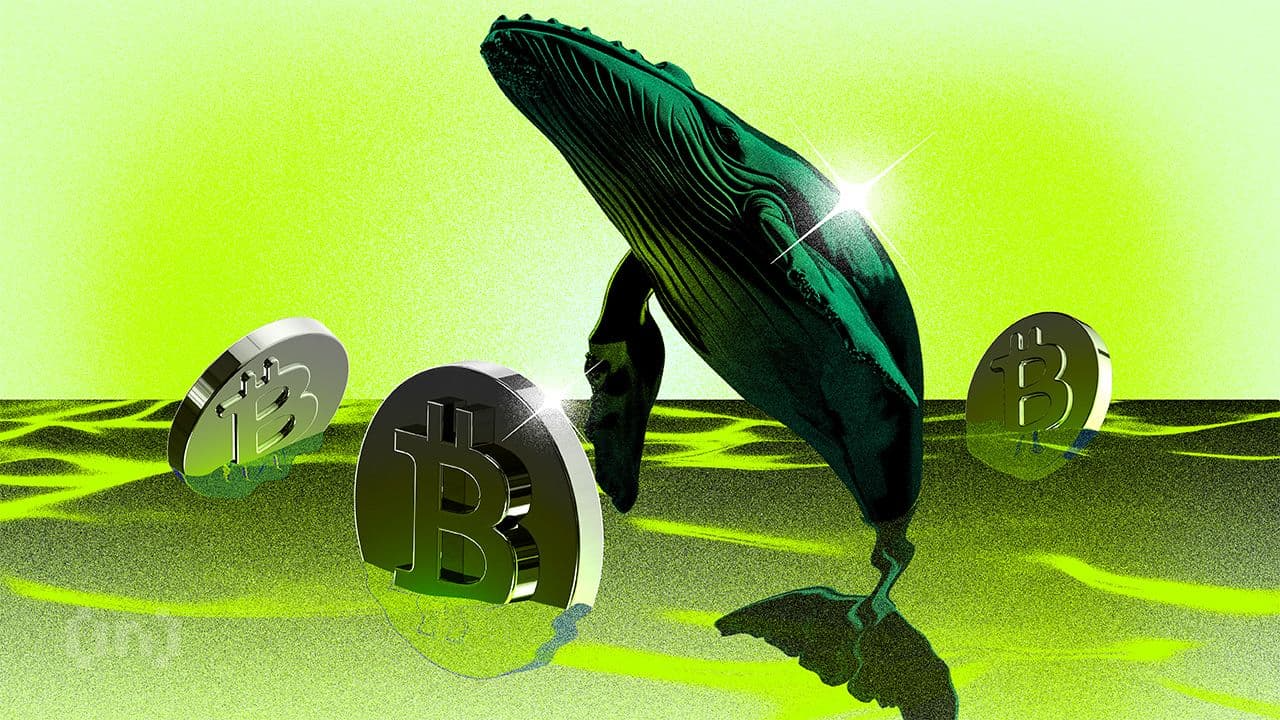 66 5 Bitcoin Market Trends: Whales Accumulate Amid Price Decline