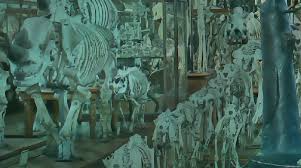 86 4 Ourbit SuperCEX Concludes Cosmic Wheel with $2.6M Rewards