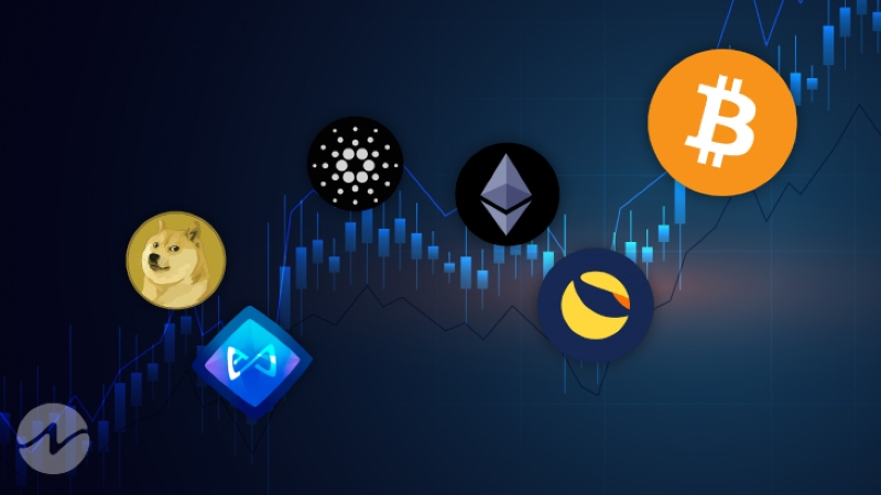 91 2 What Are Altcoins? A Complete 2025 Crypto Investment Guide