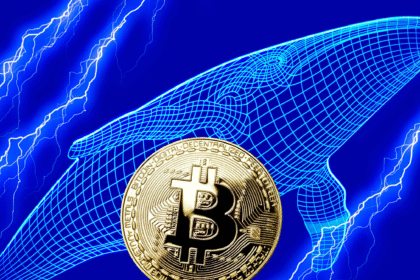 93 1 Bitcoin Whales Reallocate Holdings in December | Crypto Shift